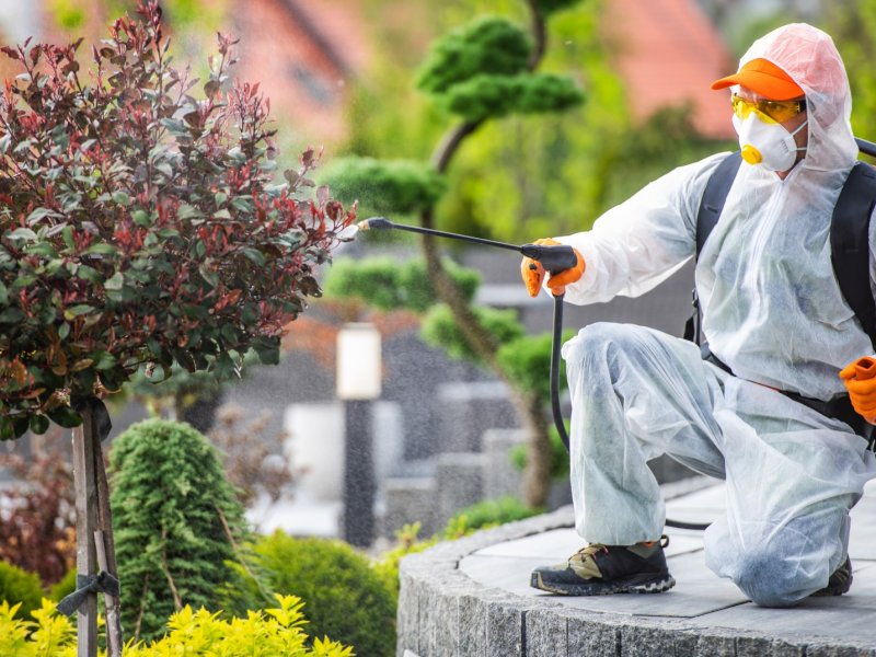 Büyükçekmece Haşere İlaçlama