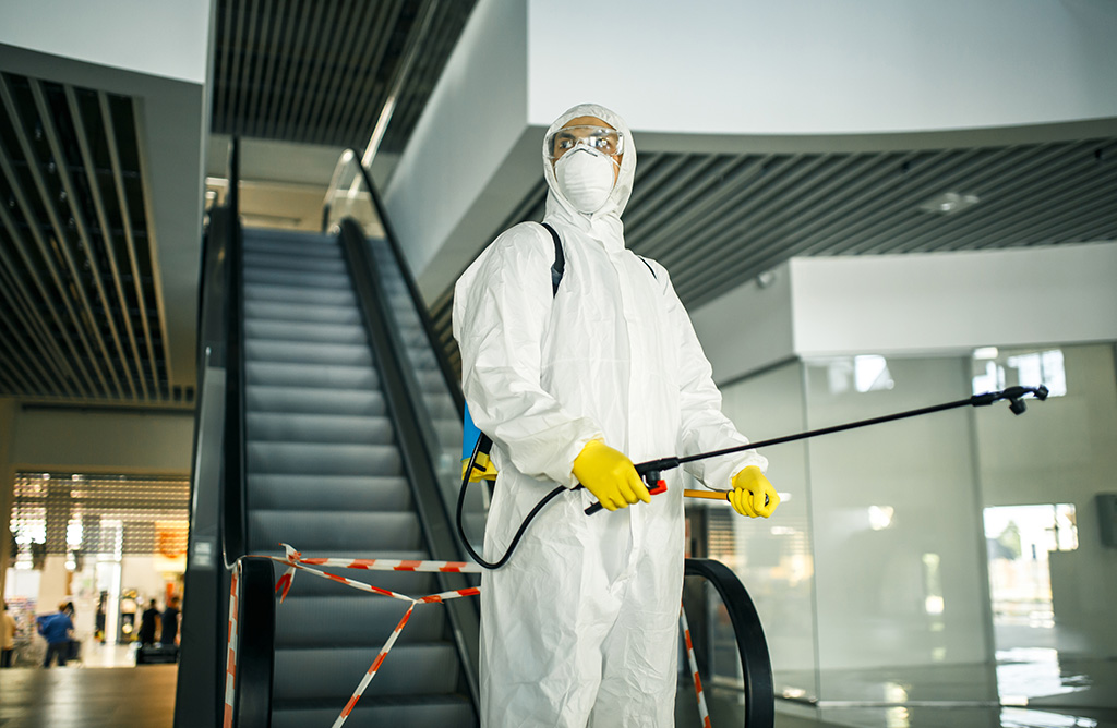 Büyükçekmece Haşere İlaçlama